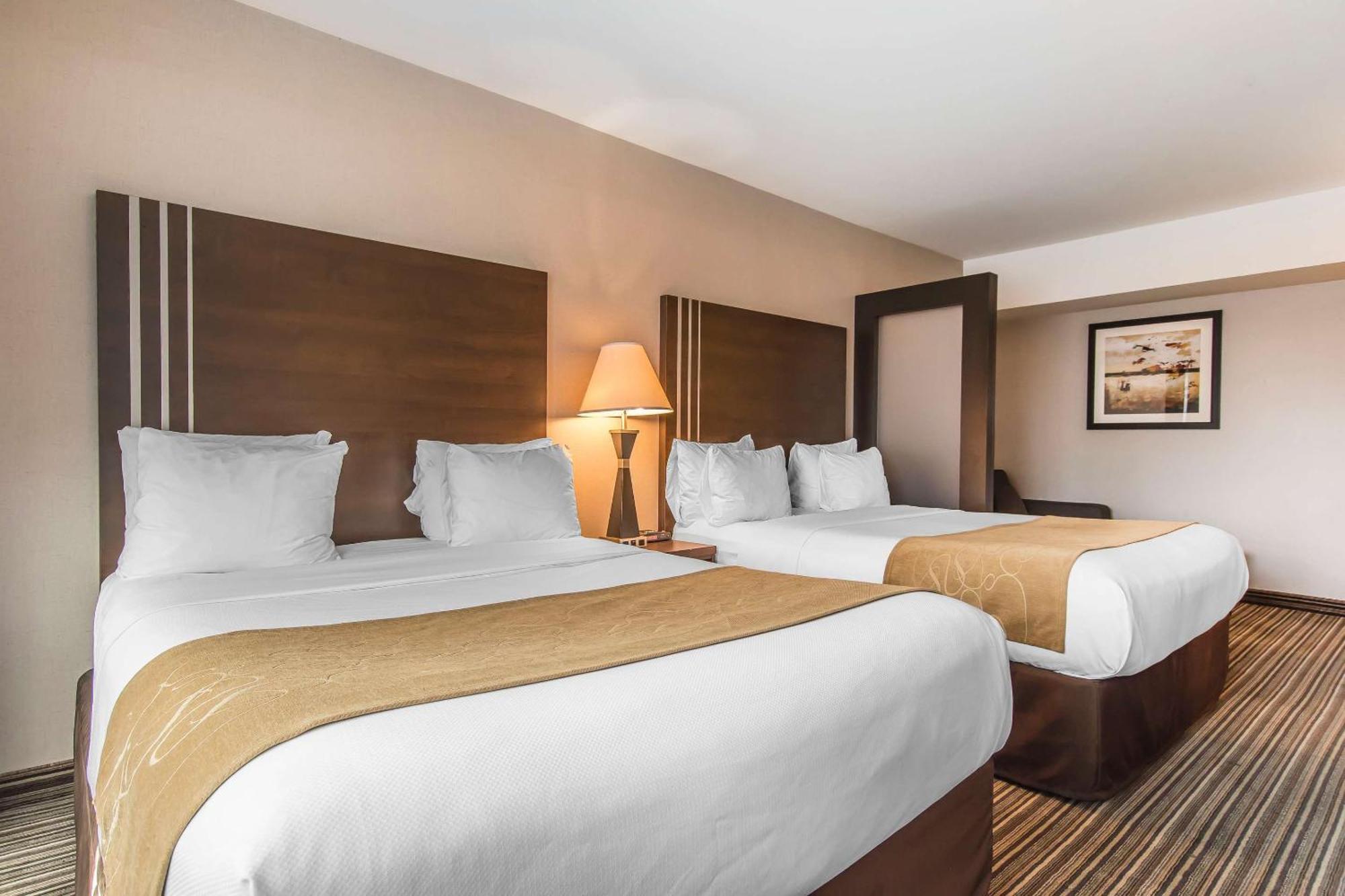 Comfort Suites Downtown Montreal Ngoại thất bức ảnh